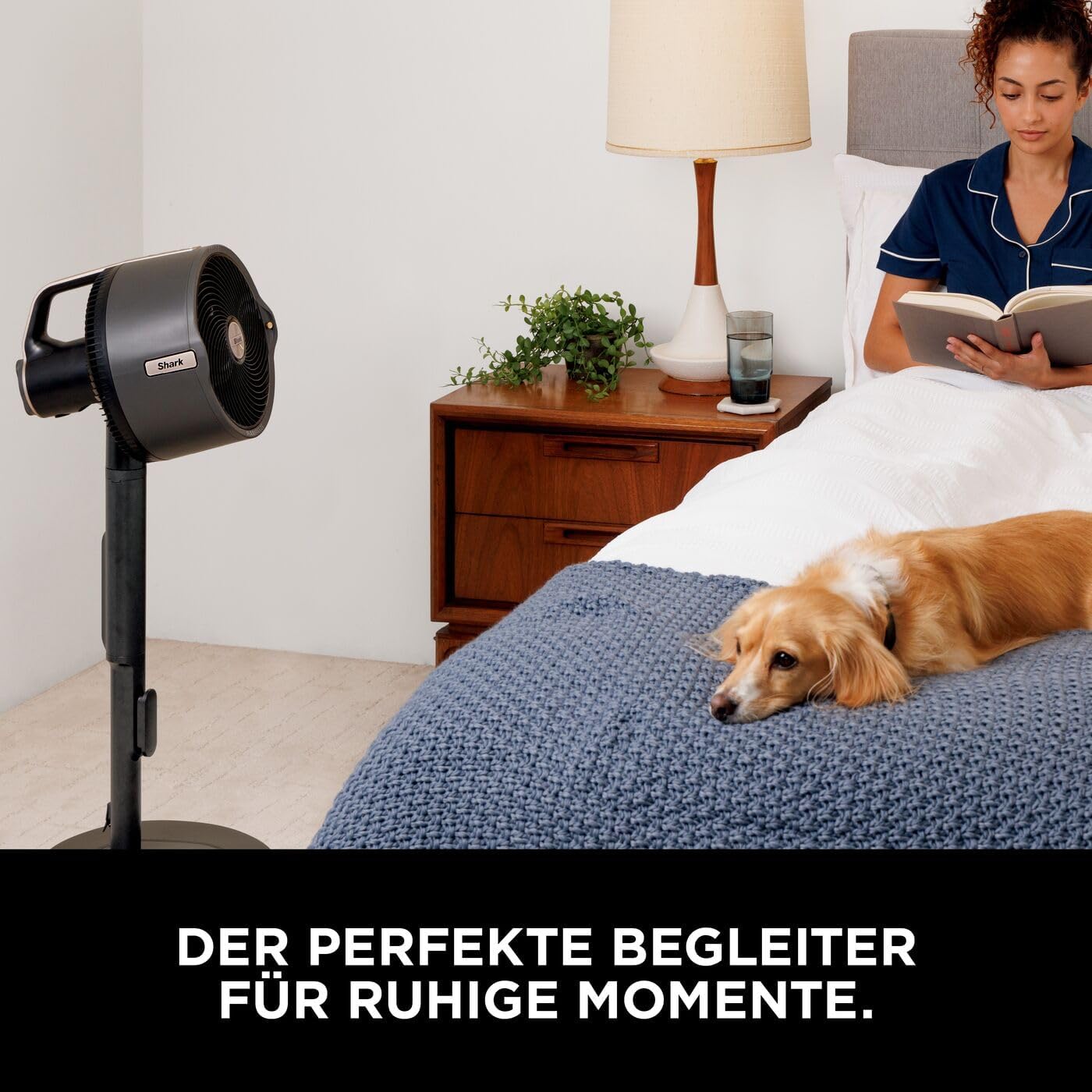 Shark FlexBreeze Pro Mist Ventilator – Die ultimative mobile Kühlung für Sommer und Garten